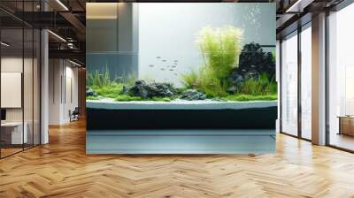 A modern fish tank with plants and fish. Wall mural