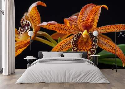 Two orange spotted orchids with dark veins. Wall mural