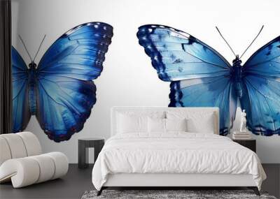 Butterfly a white transparent background Wall mural