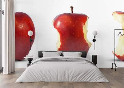 Red apple eaten to core Wall mural