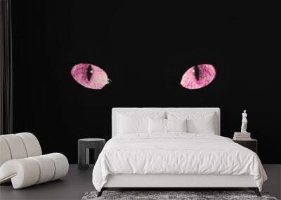 A cat's lavender eyes glow brightly in the dark, conveying an atmosphere of menace and fear Wall mural