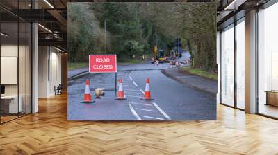 A Red Road Ahead Closed Sign and road works in operation about 150 feet ahead of the sign Wall mural