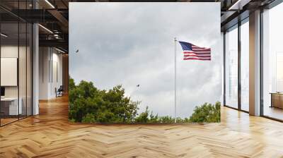 American flag waving in the wind on a cloudy sky background Wall mural