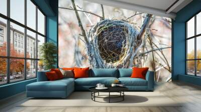 bird nest with eggs on grass Wall mural