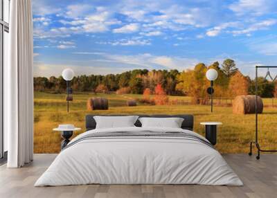 Hay Bales On The East Texas Landscape Wall mural