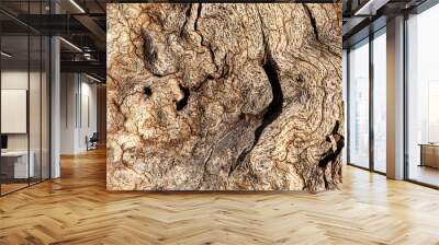 Oak Stump Two To One Wall mural