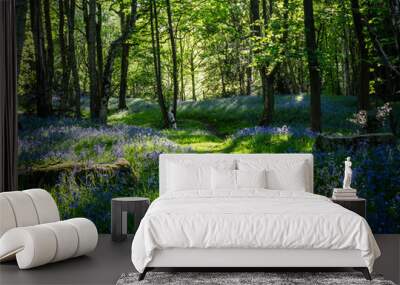 A Spring morning in an English woodland and a path winds its way past a carpet of Bluebells Wall mural