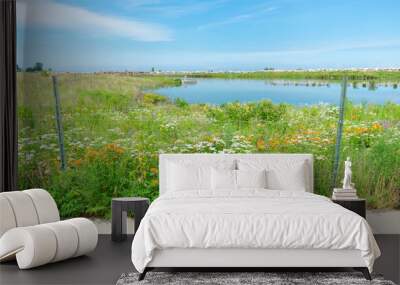 Fence next to a Pond and Native Plants at Northerly Island in Chicago Wall mural