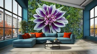 Flowers Wall mural