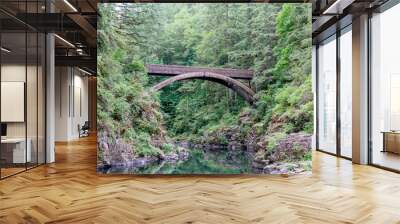 Moulton Falls, Washington State - Historic Arch Bridge Wall mural