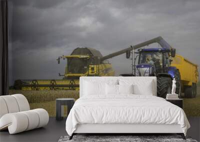 New Holland harvest Wall mural