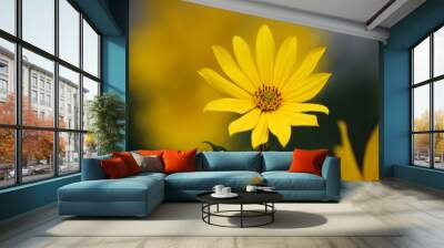 yellow flower in the garden Wall mural