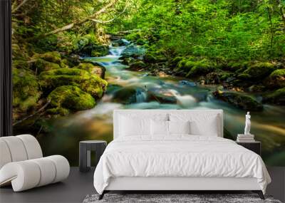 beautiful mountain creek in soft light Wall mural