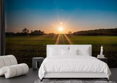 Sunset over young crops in the Oxfordshire countryside Wall mural