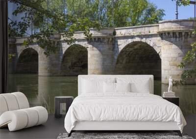 famous stone bridge, Puente Mayor, XVI Century, in Palencia, Spa Wall mural