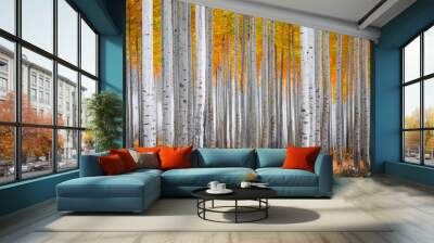 Fall Forest Scene  Wall mural