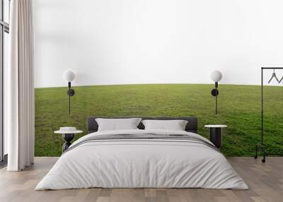 Green grass field background Wall mural