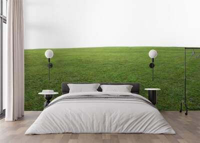 Green grass field background Wall mural