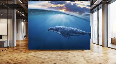 whale in half air Wall mural