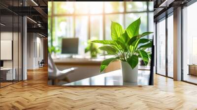 a plant in a bright office window Wall mural