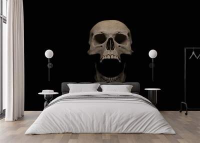 Human skull with wide open mouth on black background. 3D rendering. Wall mural