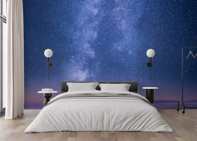 Milky way and stars glowing on the sky above winter landscape Wall mural