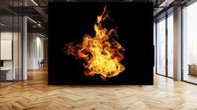 Fire flames collection isolated on black background Wall mural