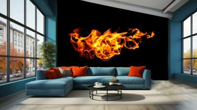 Fire flames collection isolated on black background Wall mural