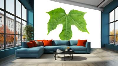 Green leaves on white background Wall mural