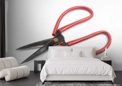 Old scissors isolated on a white background Wall mural