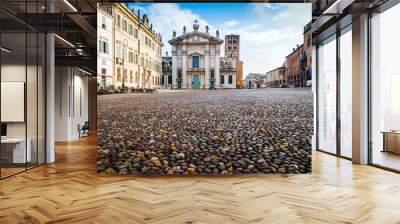 The cathedral of San Pietro apostolo, the main place of worship in the city of Mantua in Sordello square Wall mural