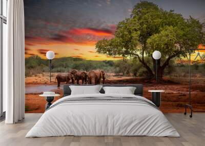 elephant family in a beautiful landscape of africa, kenya. here in tsavo national park. a herd with  Wall mural