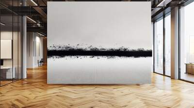 Horizontal black splatter on grey background with a copy space for text. Wall mural