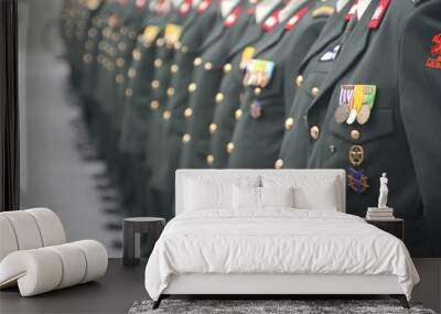 Soldiers at a Ceremony Wall mural