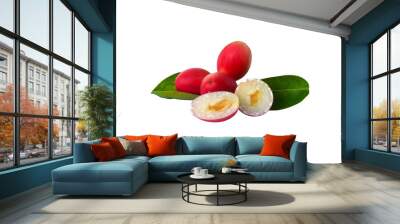 Miracle fruit isolated on a white background Wall mural