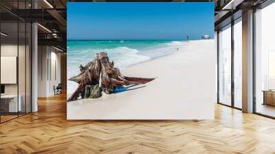 A beautiful white sand beach with a weathered tree trunk in the foreground. Shell Island, Panama City Beach, Florida Wall mural