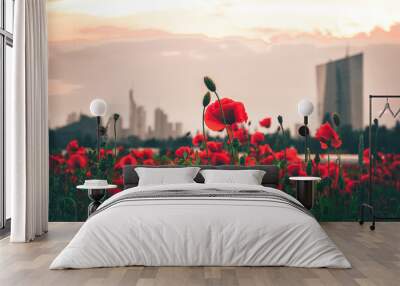 Poppy field in front of Frankfurt in the sunset. beautiful view of the city and the skyline and the poppy blossoms in the foreground. Plant with red flowered Wall mural