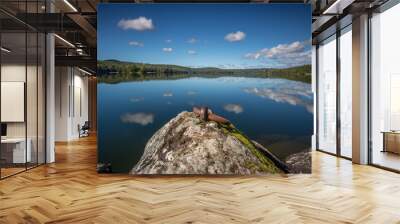 quiet lake in a pine forest. beautiful reflection of the surroundings in the water. Landscape shot in the nature of Amal, Sweden Wall mural