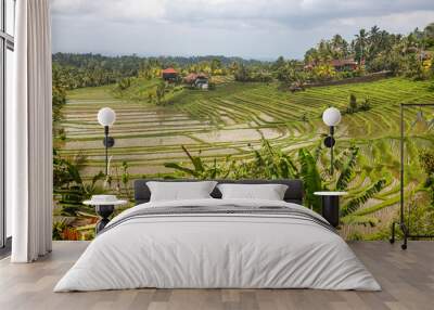 Rice terraces in the evening light. Beautiful green rice terraces overlooking the countryside. View of the rice terrace in Blimbing and Pupuan, Bali Wall mural