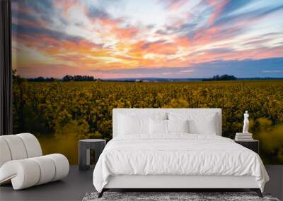 Extensive field with yellow flowering rapeseed. Colorful clouds in the sky, sunset. A landscape full of yellow flowers that plunder the soil in Europe. Wall mural