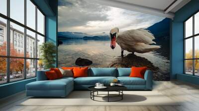 Swan on Alpine Lake with Mountain and Forest Background Wall mural