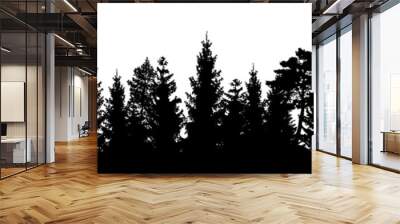 Seamless forest landscape with coniferous trees in black silhouettes on transparent background Wall mural