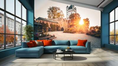 the fairytale Eltwille on the Rhine.  the beautiful Eltwille castle is located directly on the river at sunrise.  great sunrise Wall mural