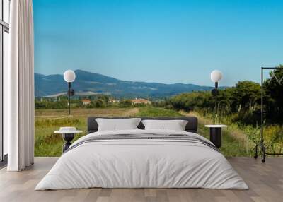 Tuscany, view of meadow and Apennines in the background. Wall mural