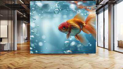 Vibrant orange goldfish swimming among sparkling water bubbles. Wall mural