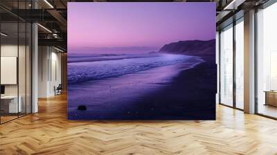 Waves on the sand of a beautiful wild tropical beach. Silhouettes of palm trees on the background of purple sunset Wall mural