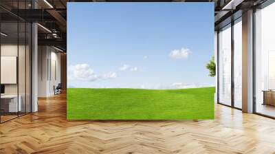 Panorama of a maple tree on a meadow against a blue sky Wall mural