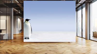 penguin panorama Wall mural