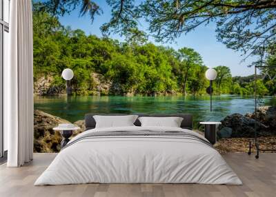 Guadalupe River New Braunfels, Texas Wall mural