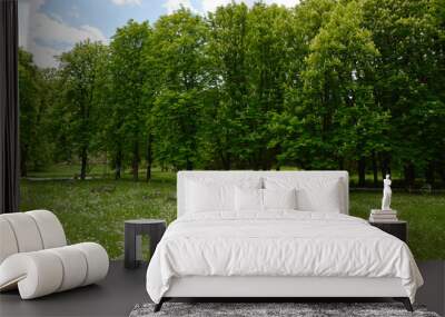 trees growing on the green spring meadow with blue sky in the background Wall mural